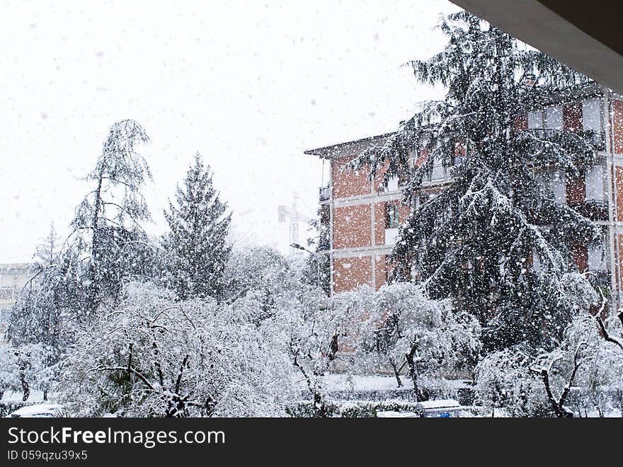 Snow in la spezia