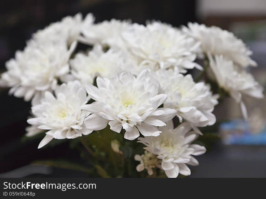 Bunch of flowers as a gift to the woman