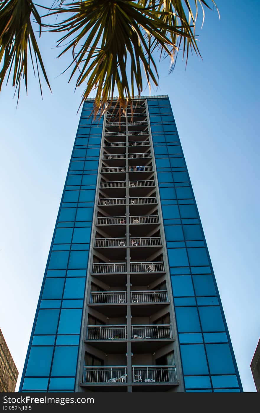 Modern glass silhouettes on modern building and palm tree. Modern glass silhouettes on modern building and palm tree