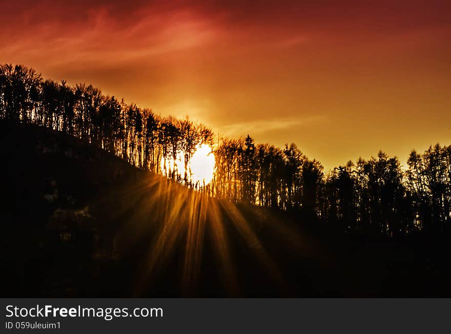 Sun is going down behind the long tree of the mountain. Sun is going down behind the long tree of the mountain.