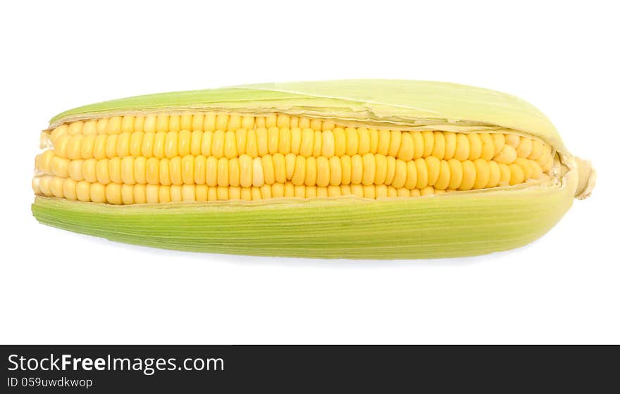 Fresh corn