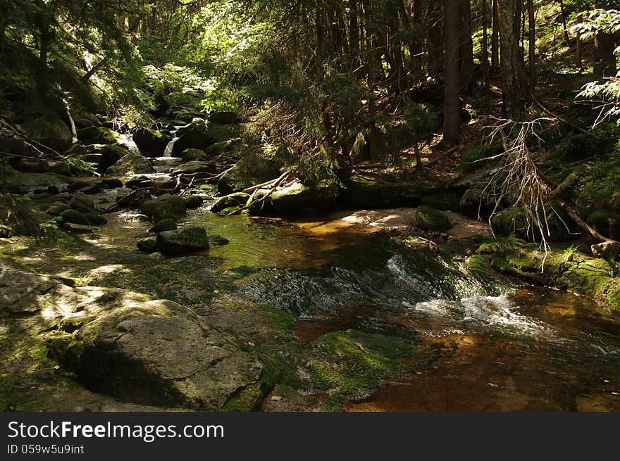 The photo shows a mountain stream flowing among the dense spruce forest on stony ground. The photo shows a mountain stream flowing among the dense spruce forest on stony ground.