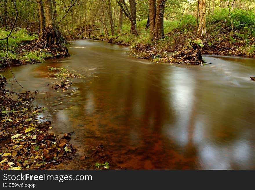 The photo shows a small river flowing through the forest. The photo shows a small river flowing through the forest.