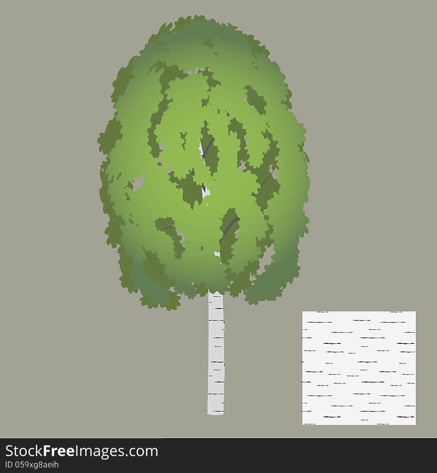 Vector tree a birch with seamless texture of bark. Vector tree a birch with seamless texture of bark