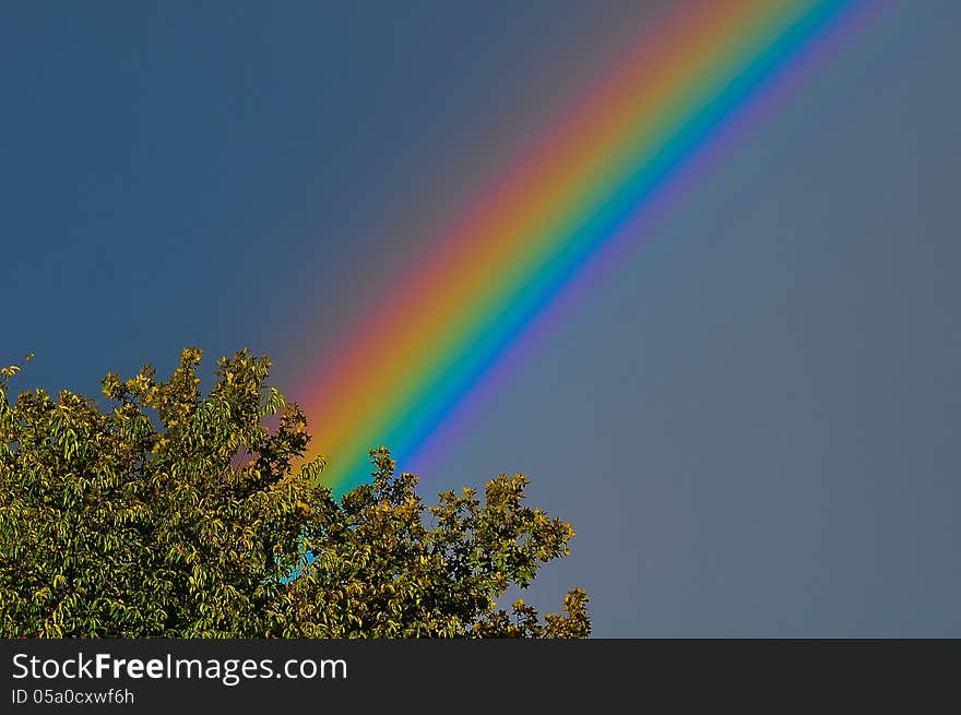 This rainbow is among the strongest in color I've ever seen. This rainbow is among the strongest in color I've ever seen