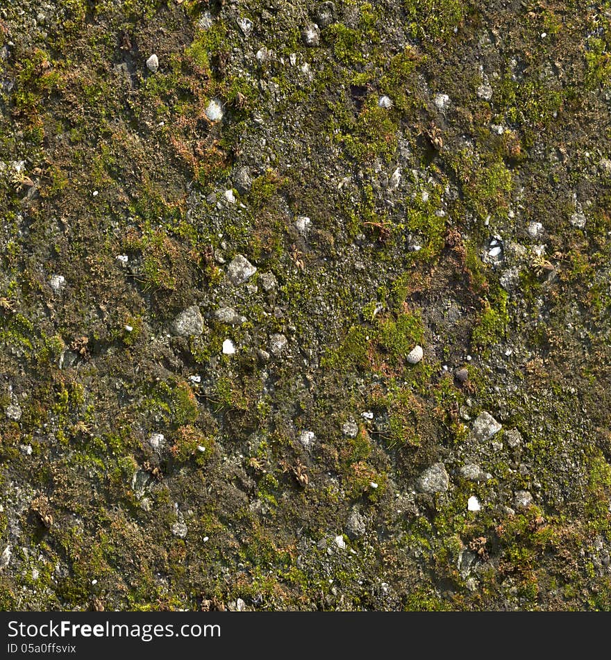 Mossy Wall Seamless Texture.