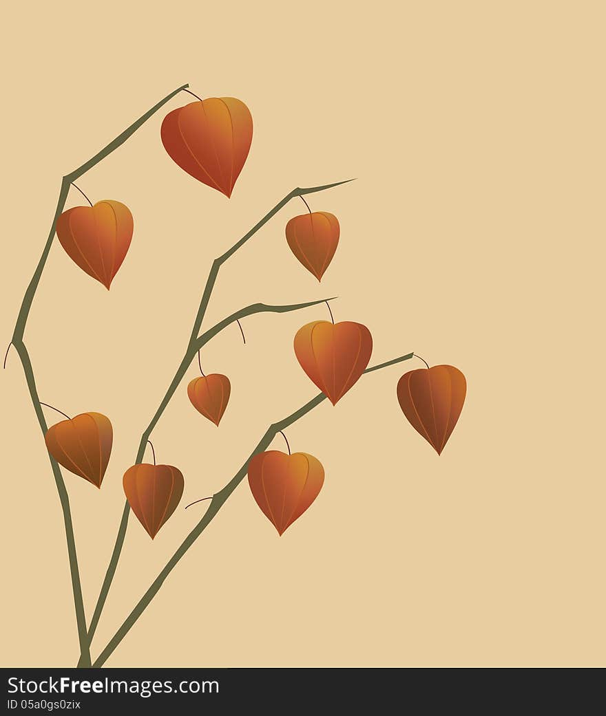 Physalis branches on yellow background. Vector illustration. Physalis branches on yellow background. Vector illustration