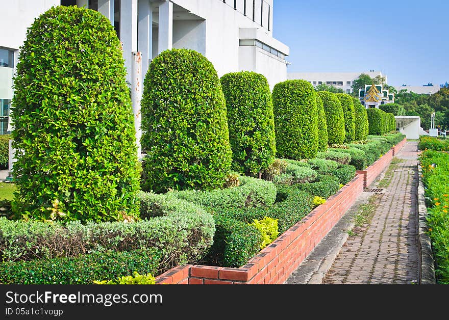 Footpath In Garden