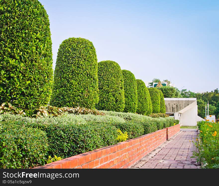 Footpath in garden