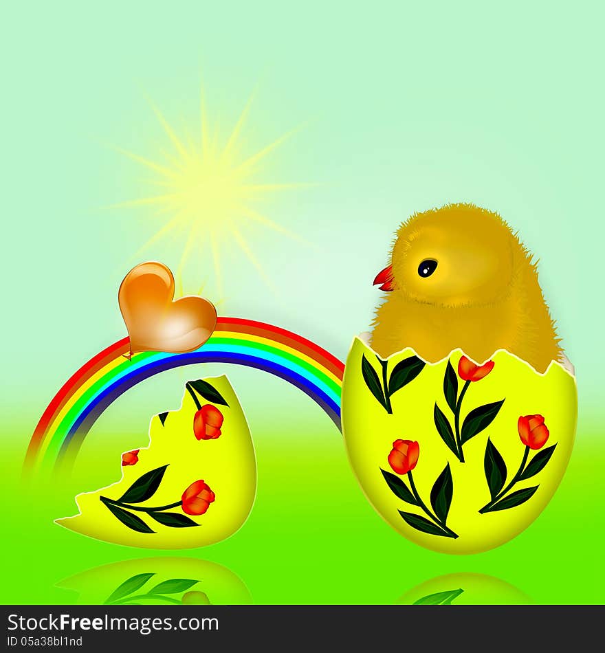 Newborn chick. Yellow chicken in egg. Newborn chick. Yellow chicken in egg.