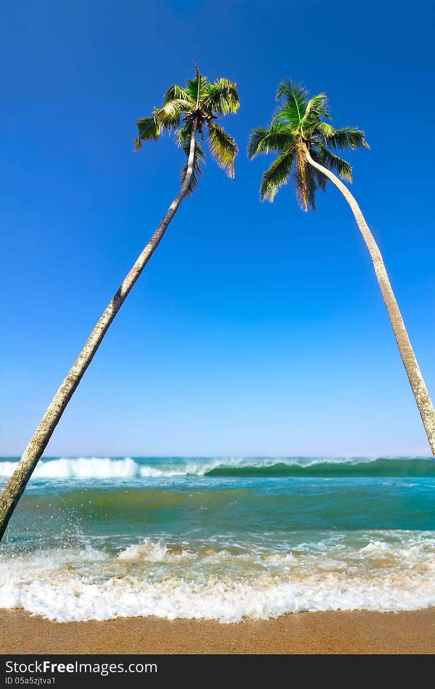 Beautiful tropical landscape with ocean beach and palm trees under blue sky