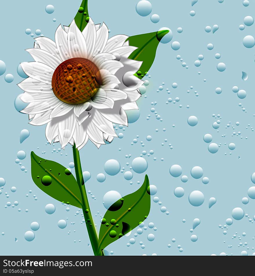 Illustration of Fontvieille with chamomile flowers in water droplets. Illustration of Fontvieille with chamomile flowers in water droplets