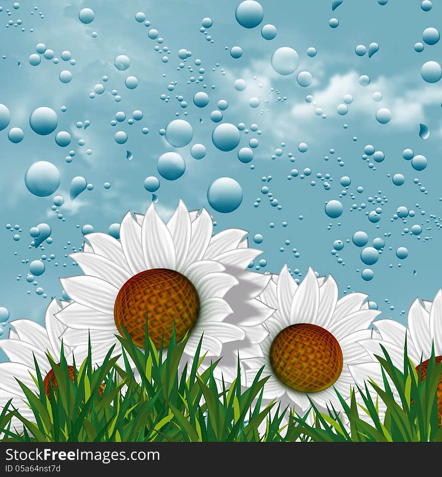 Illustration of Fontvieille with chamomile flowers in water droplets. Illustration of Fontvieille with chamomile flowers in water droplets