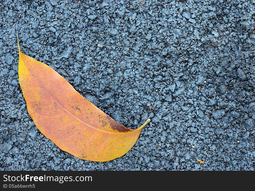 Single brown leaf with asphalt texture background. Single brown leaf with asphalt texture background