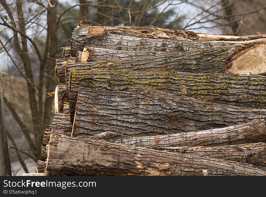 Close up of pile of logs