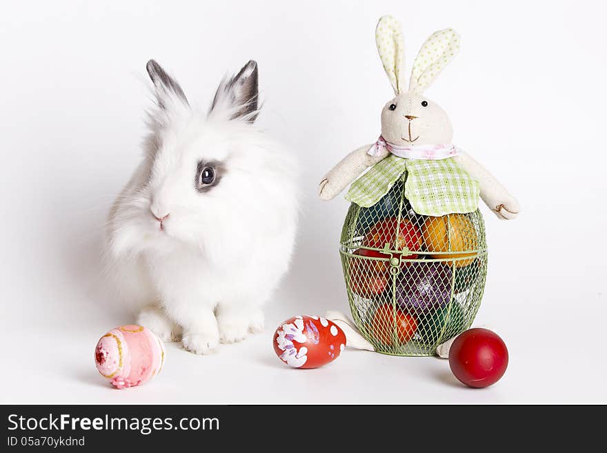 Little white rabbit beside bowl with Easter eggs