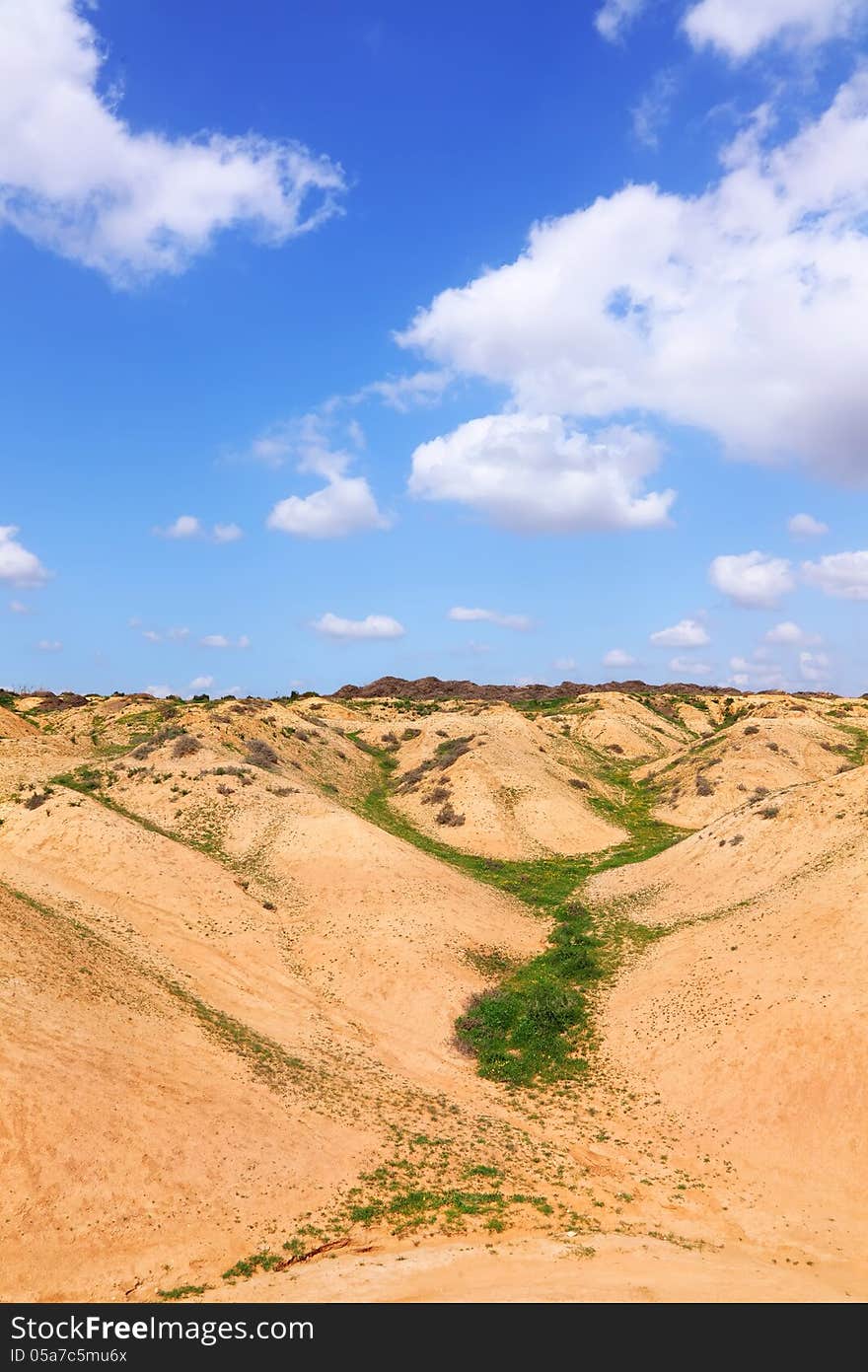 Green vegetation at the bottom of the dry small river in the desert (Negev. Israel). Green vegetation at the bottom of the dry small river in the desert (Negev. Israel)