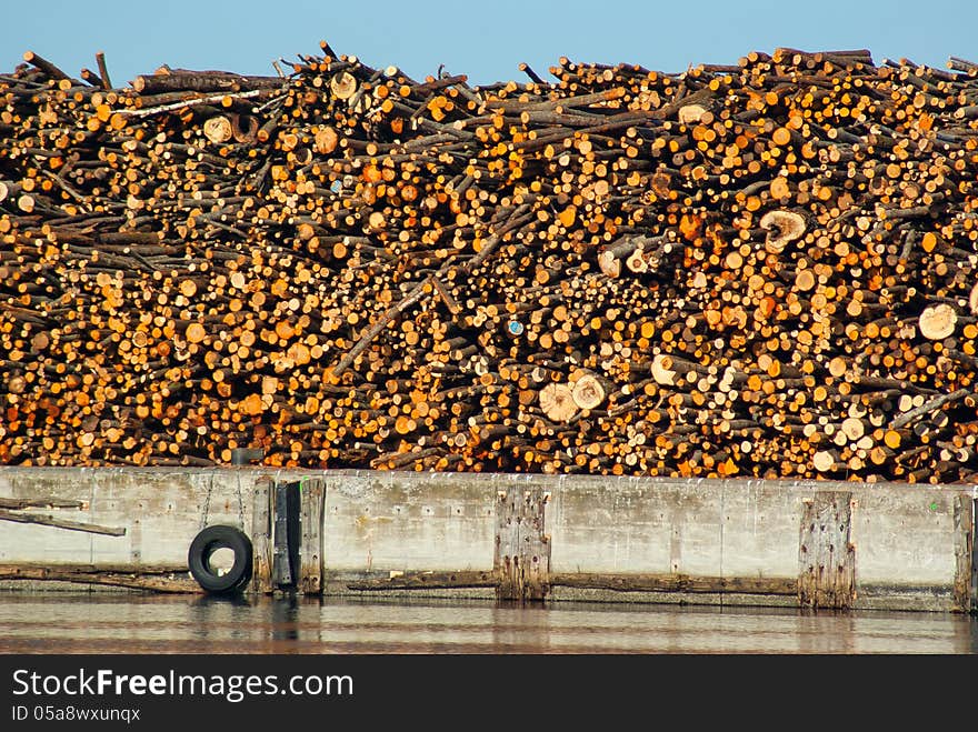 Stack of dried fire wood logs cut into chips for heating