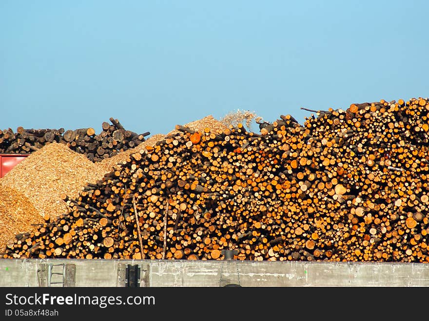 Stack of dried fire wood logs cut into chips for heating