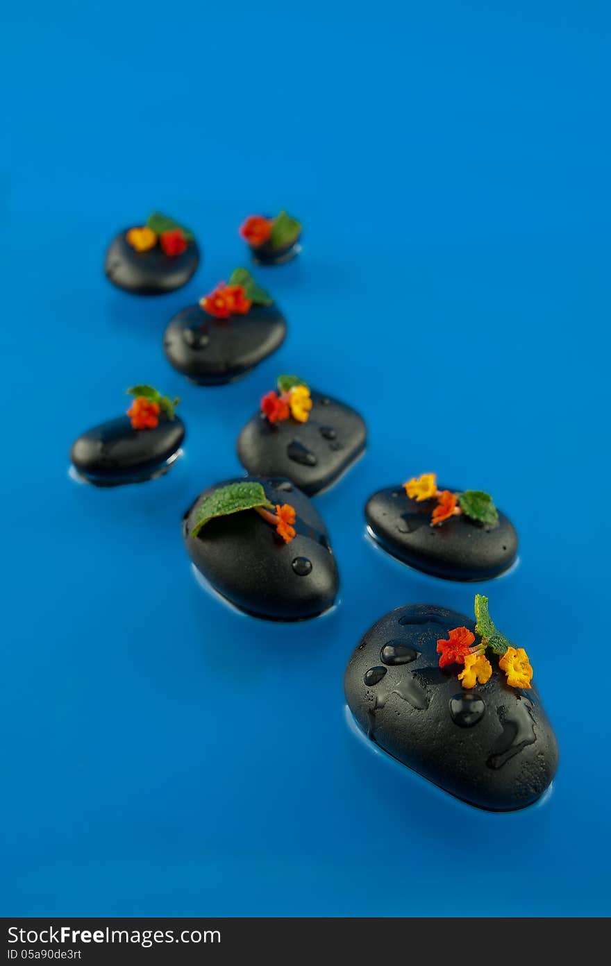 Smooth black pebbles in the water, covered with flowers, photographed against a blue background Small depth of field. Smooth black pebbles in the water, covered with flowers, photographed against a blue background Small depth of field