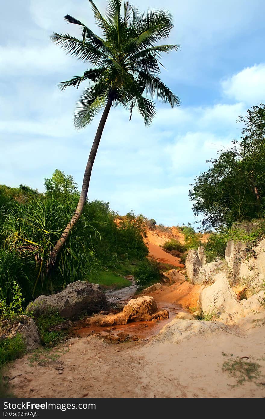 Red Canyon between jungle.  Vietnam