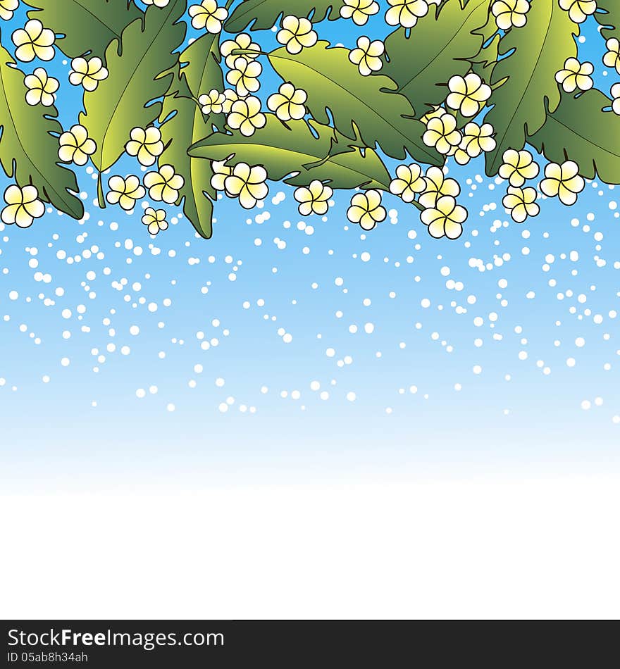 Vector tropical background with flowers and palm. Vector tropical background with flowers and palm