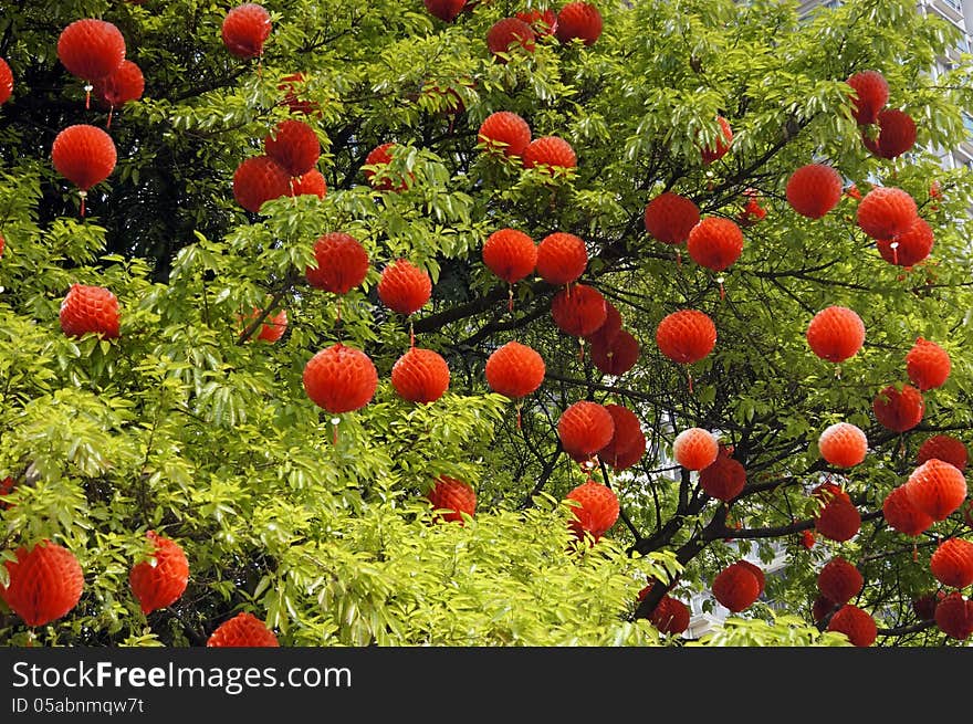 The red paper lanterns hanging on green trees. The red paper lanterns hanging on green trees.