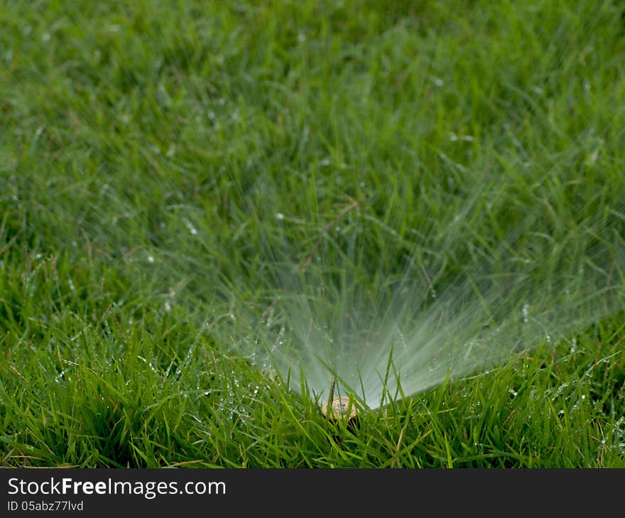 Water sprinkler showering on grass field