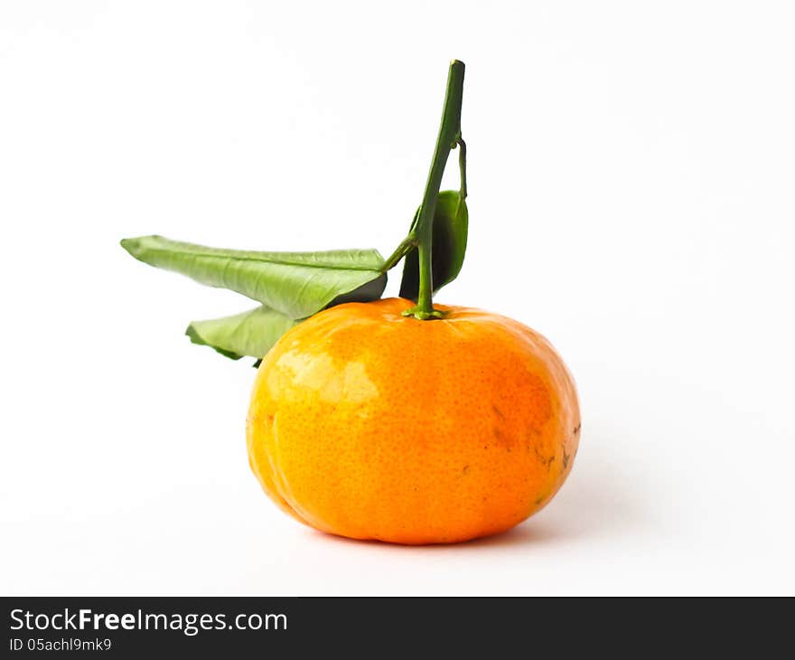 Orange fruit