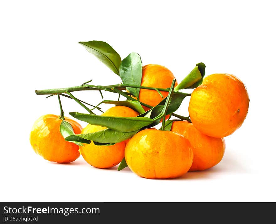 Orange fruit on white background