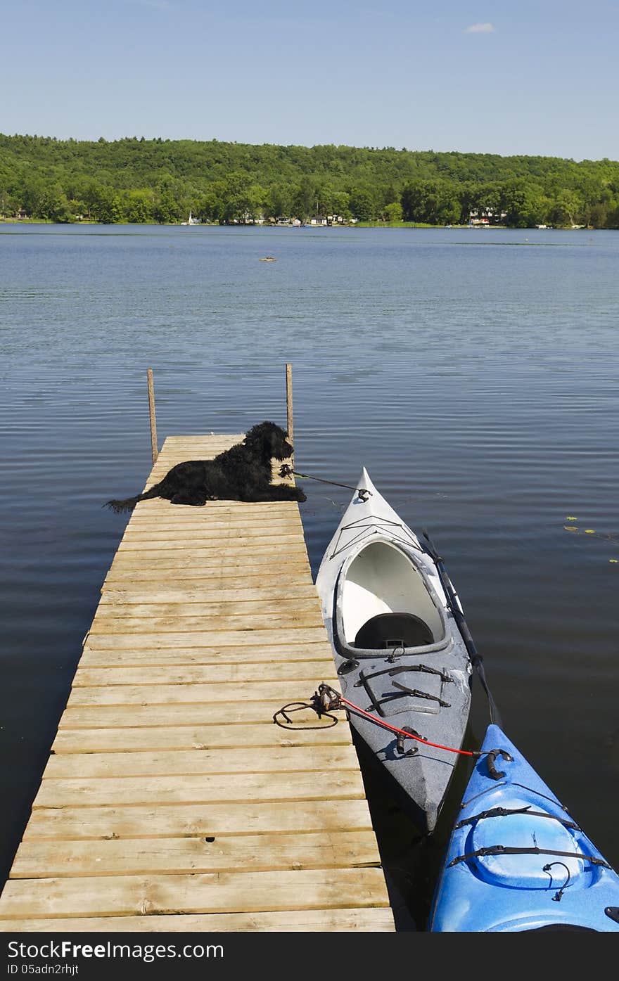 Labradoodle pup waiting for her ride in the kayak. Labradoodle pup waiting for her ride in the kayak