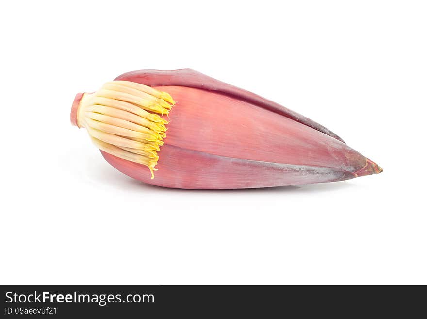 Banana flower isolated on white background