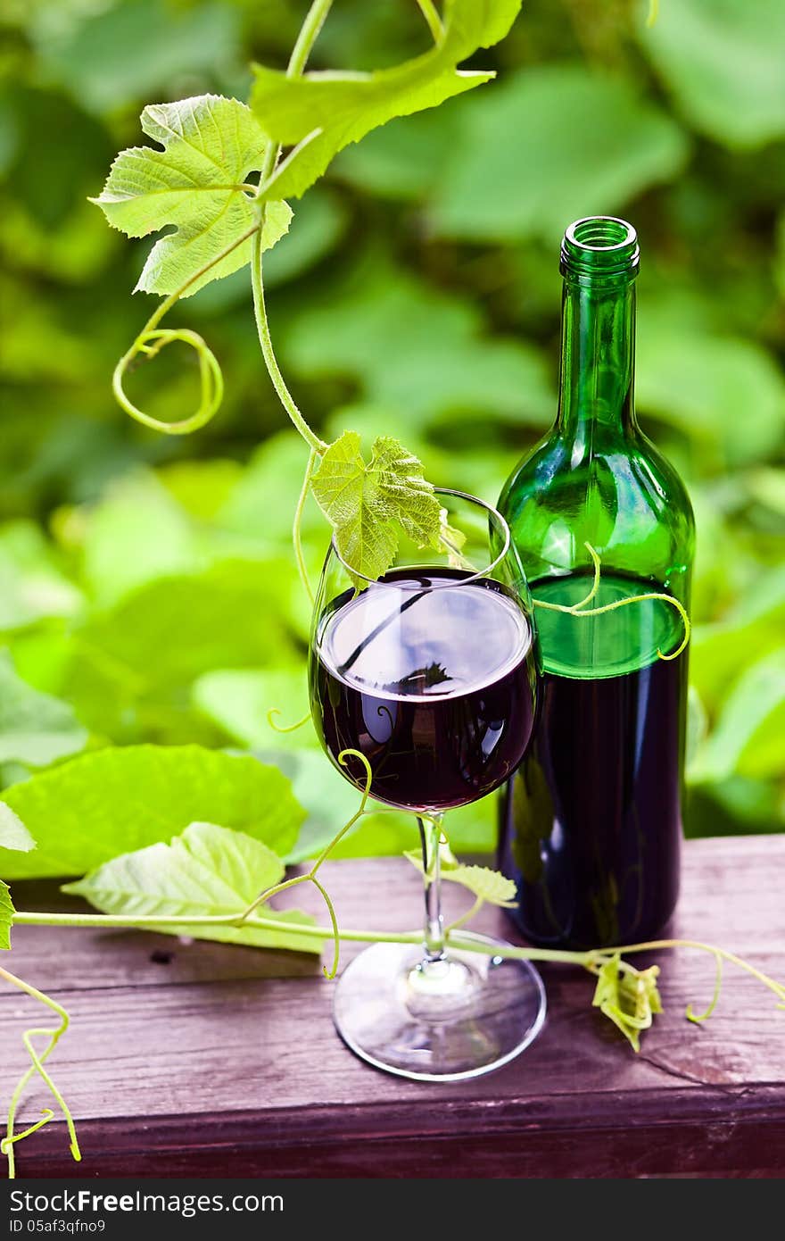 Bottle and glass with red wine in vineyard.