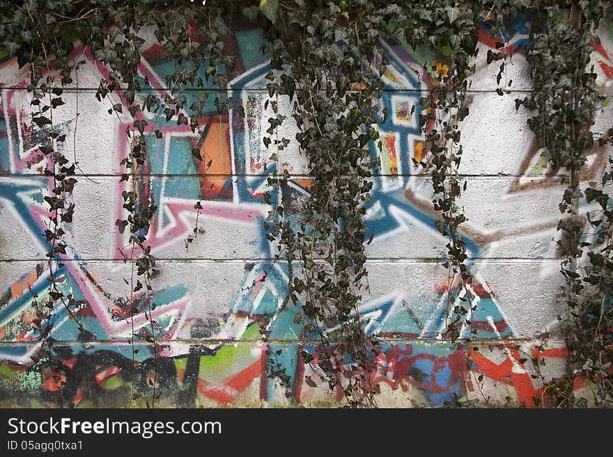 Graffiti-covered wall with ivy