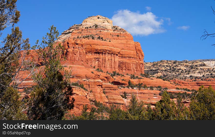 Arizona Mountain Scenery With Tree