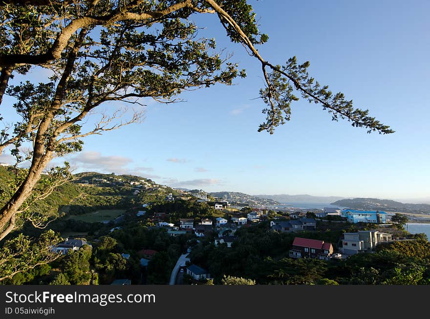 Wellington Cityscape