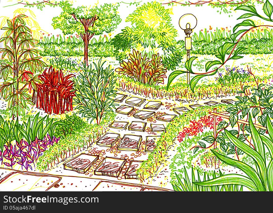 Garden Sketch