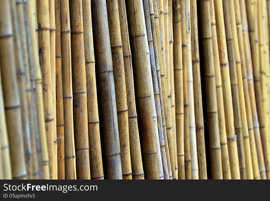 A fence wall made from a bamboo. A fence wall made from a bamboo.