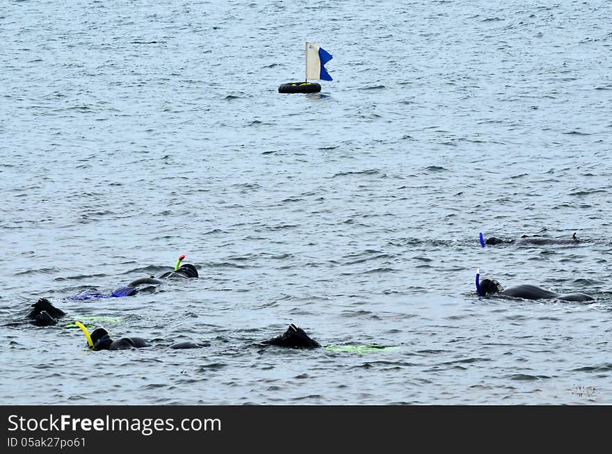 Divers dive underwater at sea. Divers dive underwater at sea.