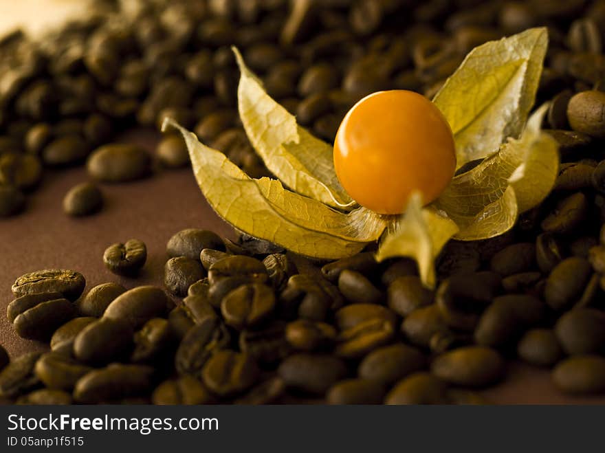 Physalis and coffee beans