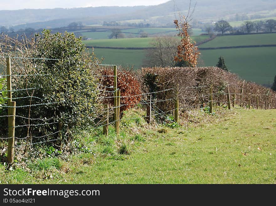 Country hedge with fence in English countryside