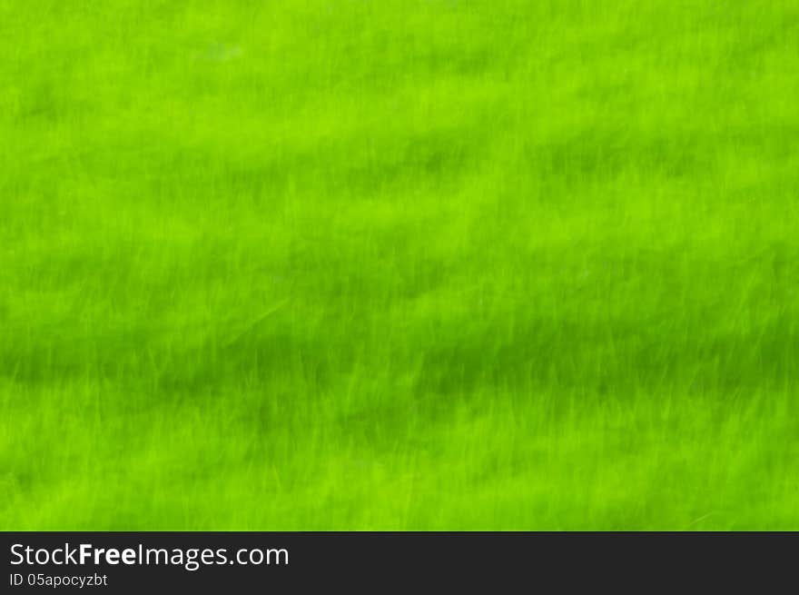 Blur Green Background