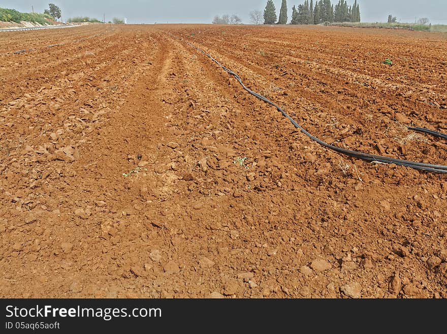 Plowed field ready to receive the seed.