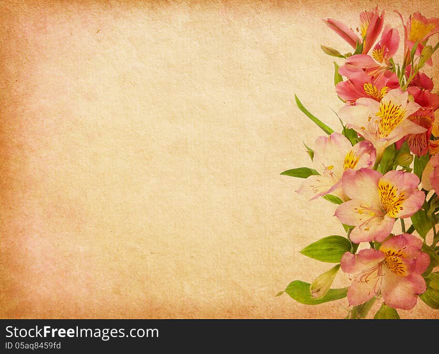 Old paper background with alstroemeria.