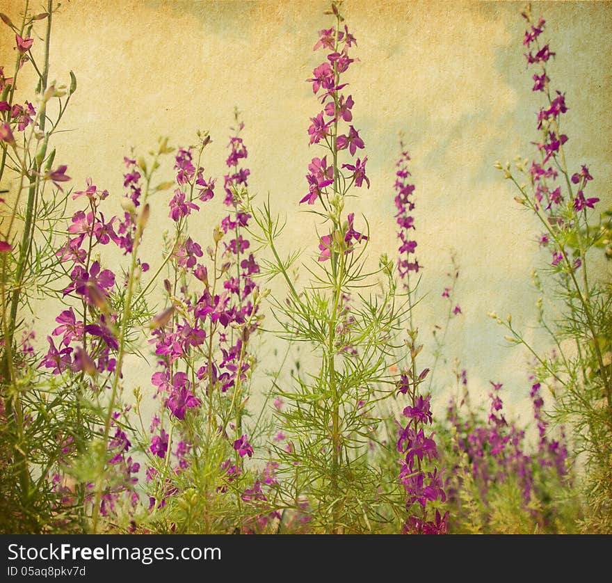 Retro image old paper with violet delphiniums.