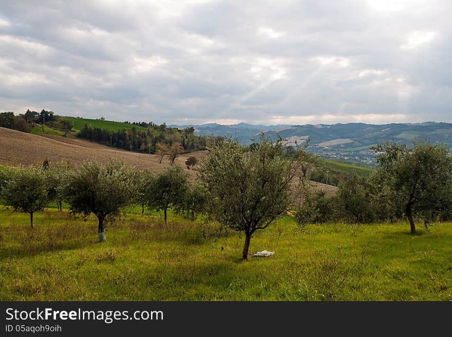 Romagna Countryside