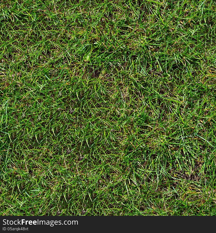 Green Grass. Seamless Tileable Texture. Green Grass. Seamless Tileable Texture.