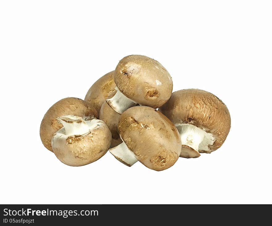 Isolated pile of brown edible mushrooms on white. Isolated pile of brown edible mushrooms on white