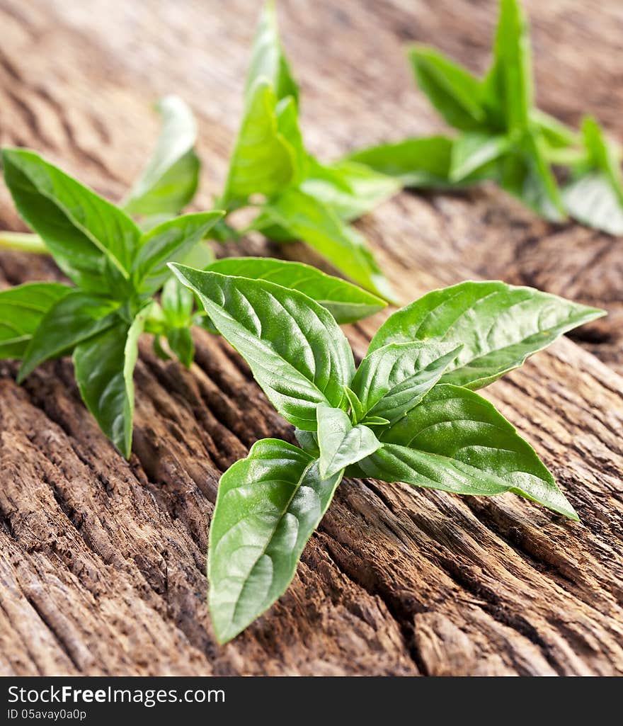 Leaves of basil