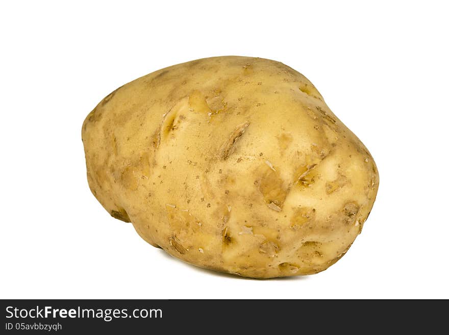 Large size potato on white background. This giant potato, about 6 inch long when weighed found to be approx. 450 gms.